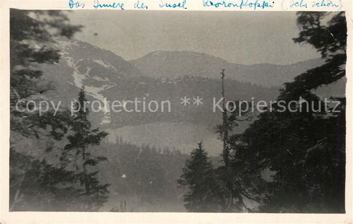Wrangell Alaska Landschaftspanorama einer Insel
