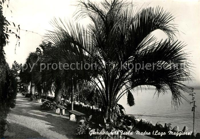Isola Madre Lago Maggiore Giardini dell Isola