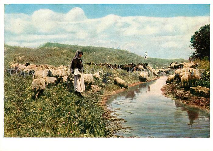 Jerusalem Yerushalayim Shepherds near el Lejjun Hirte und Schafherde