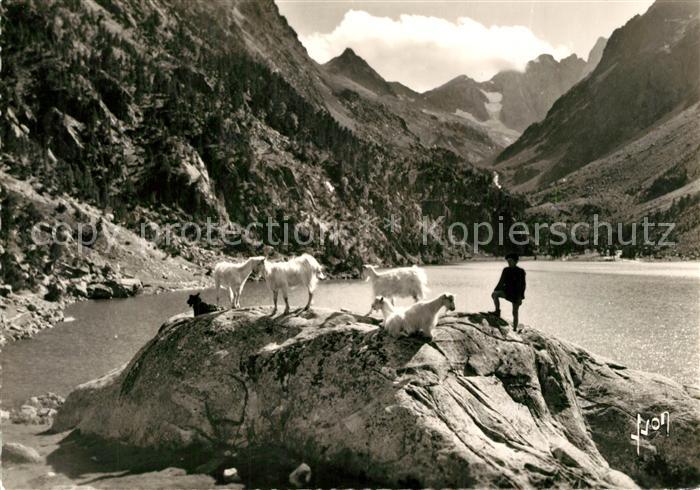 Lac de Gaube Hirte mit Ziegen Bergsee le Vignemale Pyrenaeen