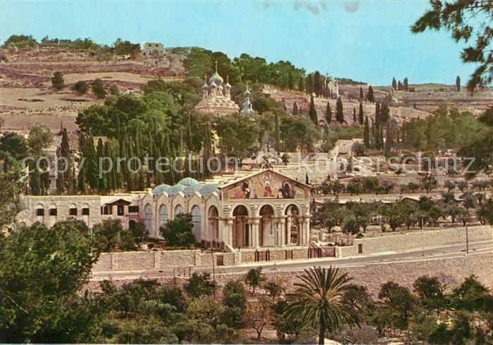 Jerusalem Yerushalayim Old City Basilica and Gardens of Gethsemane