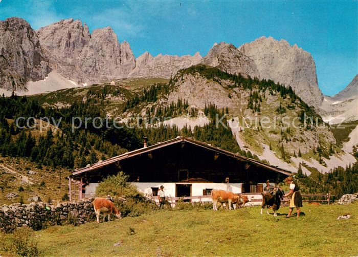 Ellmau Tirol Wochenbrunneralm mit Ellmauer Halt Kaisergebirge