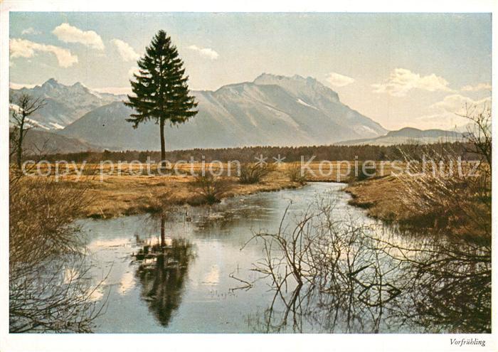Meiningen Vorarlberg Landschaftspanorama Blick aus dem Rheintal Vorfruehling