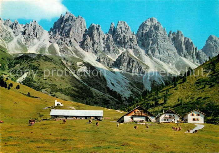 Grinzens Kemater Alm gegen Kalkkoegel Stubaier Alpen