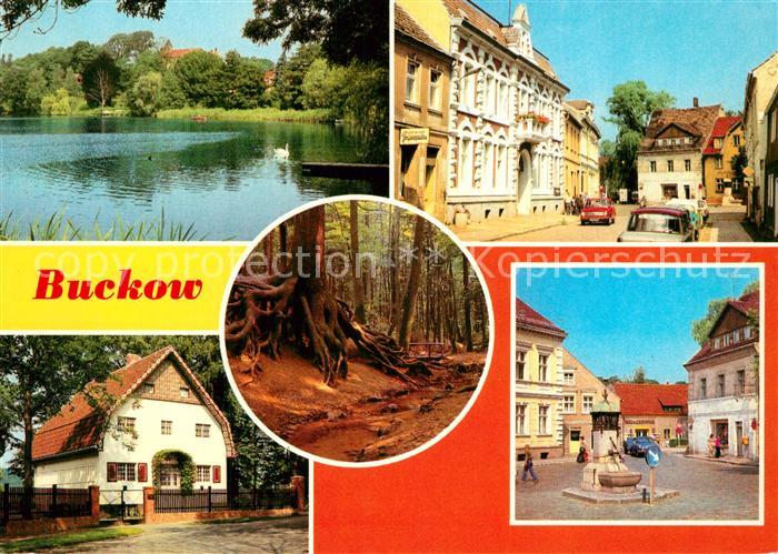 Buckow Maerkische Schweiz Buckowsee Clara Zetkin Strasse Wurzelfichte Brecht Wei