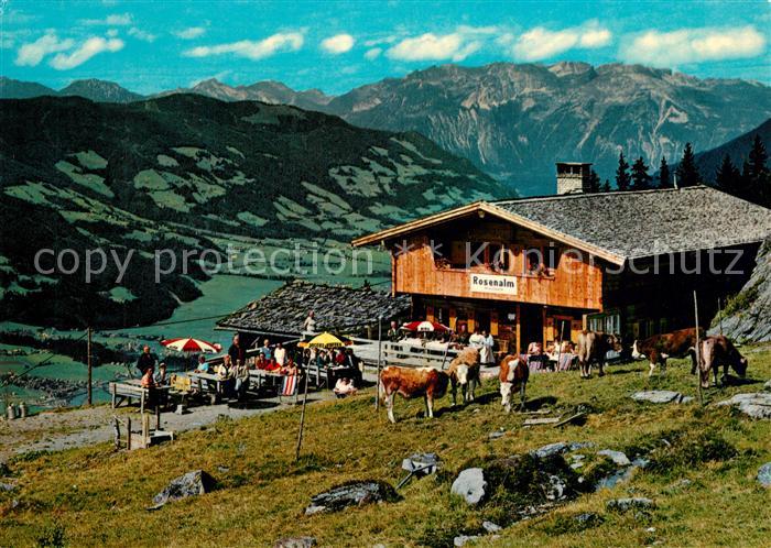 Zell Ziller Tirol Jausenstation Rosenalm Berghuette Almvieh Kuehe Fernsicht Alpe