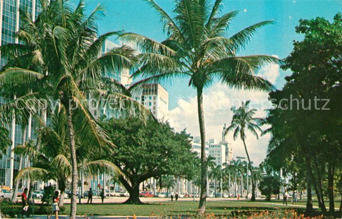 Miami Florida Biscayne Blvd