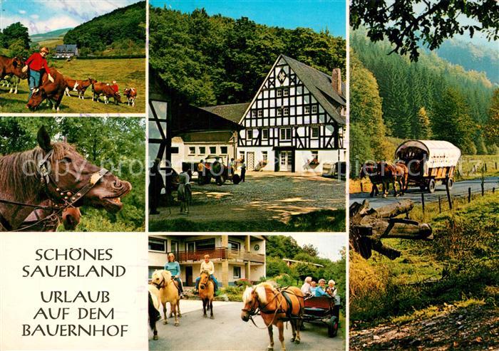 Winterberg Hochsauerland Urlaub auf dem Bauernhof Pferde Kuehe Fachwerk