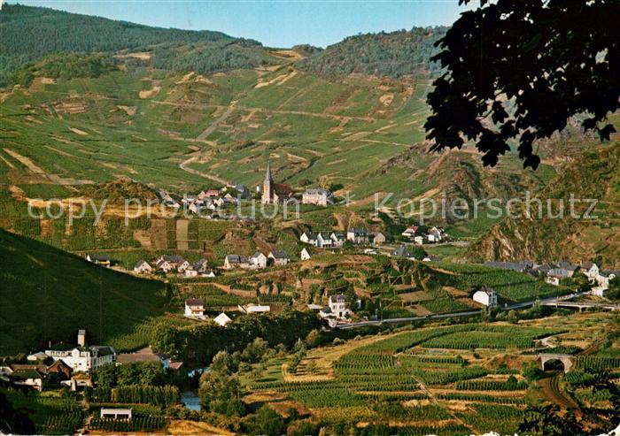 Ahrtal Weinreben bei Mayschoss