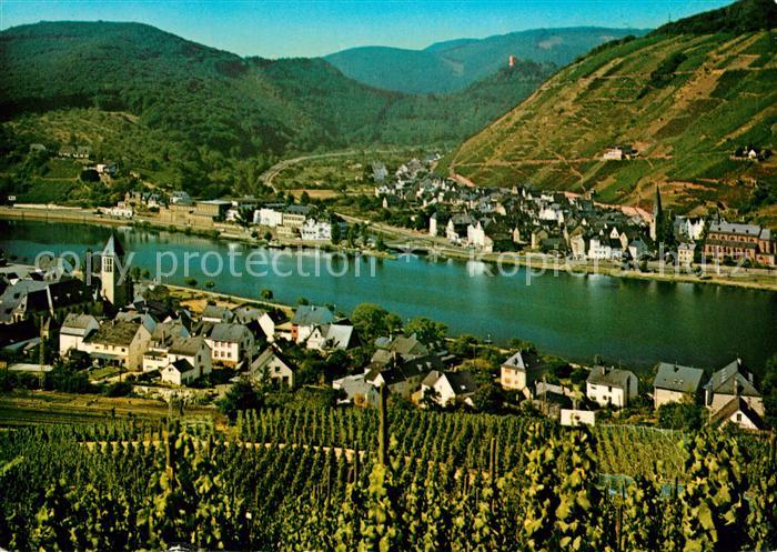 Alf Mosel Bullay Moselpartie