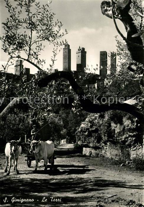 San Gimignano Le Torri Kuehe