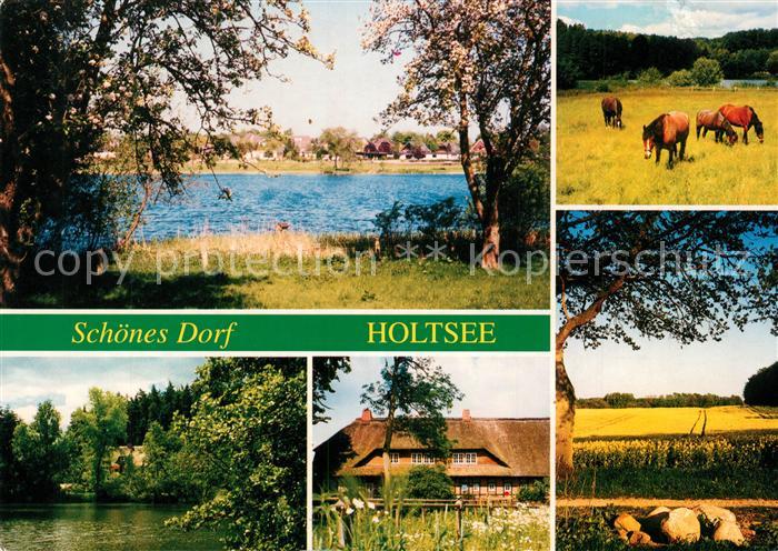 Holtsee Pferde Weiher Reetdachhaus