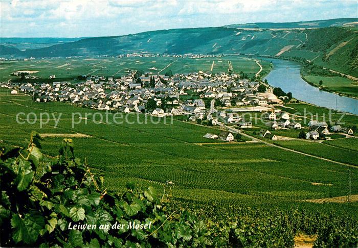 Leiwen Mosel Panorama