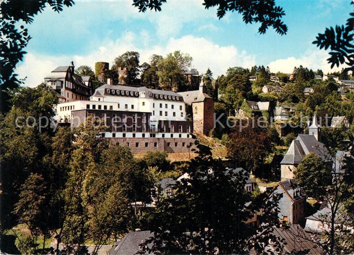 Monschau Ortsansicht mit Ruine Haller