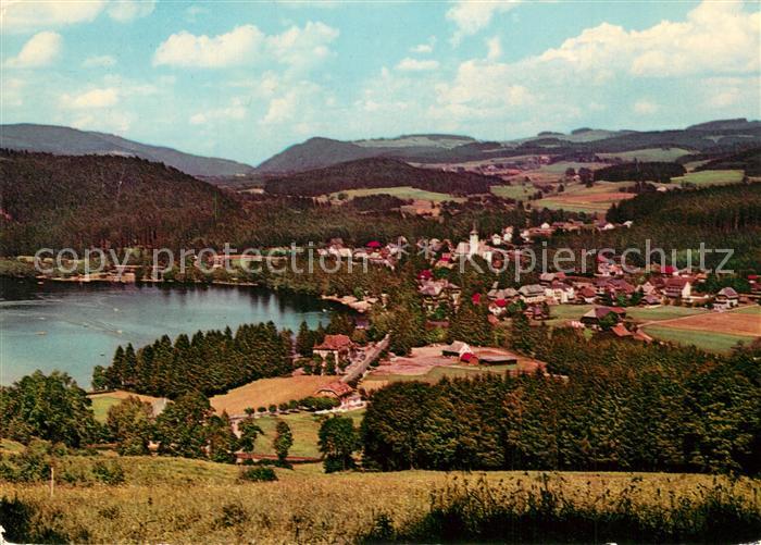 Titisee Panorama