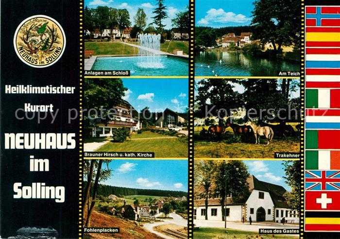 Neuhaus Solling Schlossanlagen Teich Brauner Hirsch Trakehner Fohlenplacken Haus