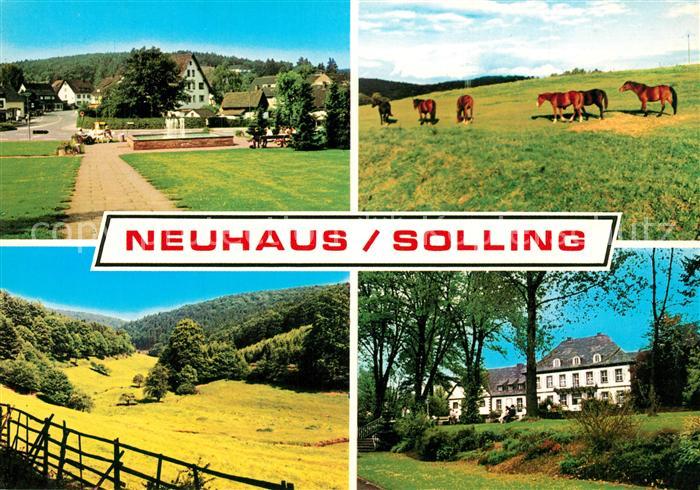 Neuhaus Solling Teilansichten Trakehner