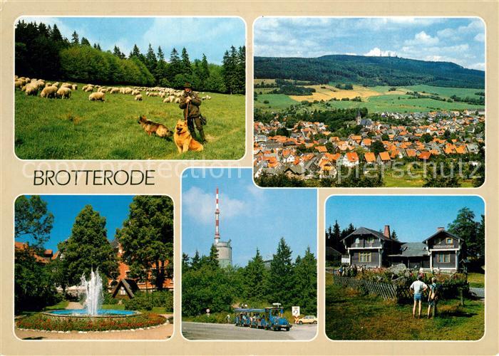 Brotterode Schafherde am Roh Gr Inselsberg Marktplatz Fernmeldeturm Waldgaststae