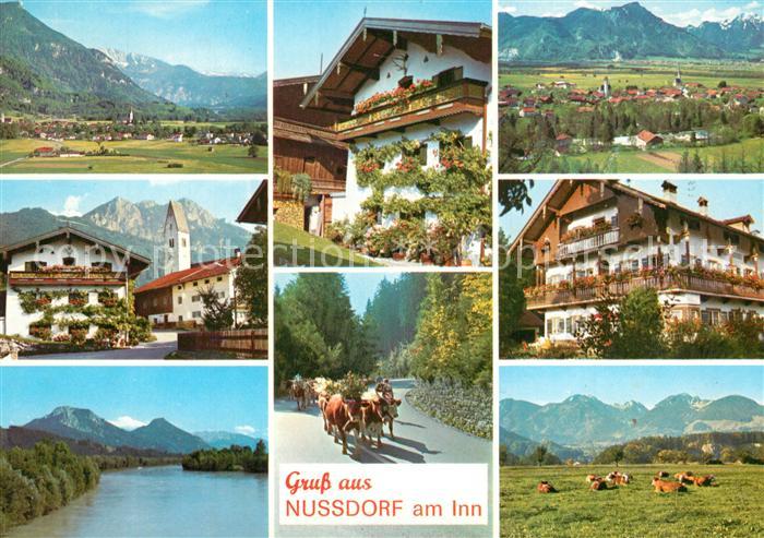 Nussdorf Inn Panoramen