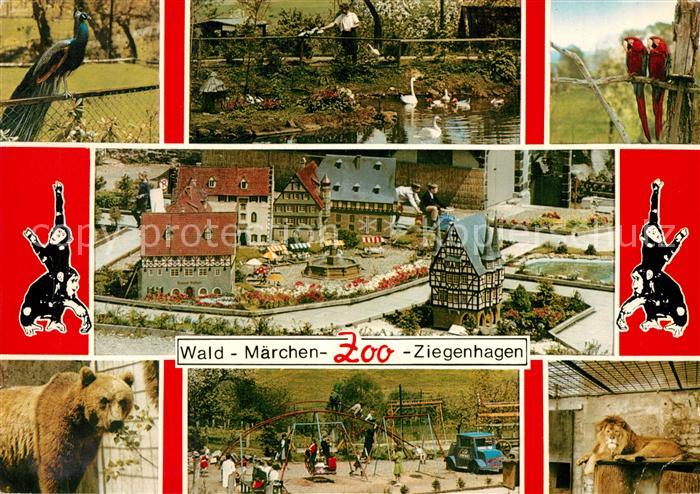 Ziegenhagen Witzenhausen Wald Maerchen Zoo