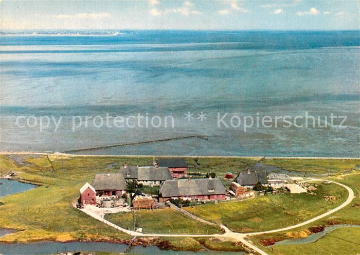 Hallig Langeness Fliegeraufnahme Maienswarft