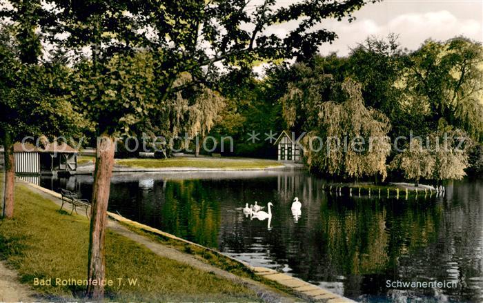 Bad Rothenfelde Schwanenteich