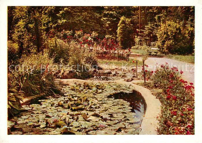 Sangerhausen Suedharz Rosarium Seerosenteich