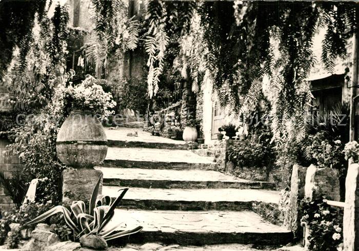 Bormes-les-Mimosas Rue pittoresque Cote d Azur