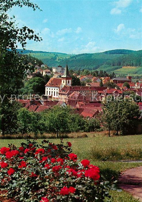 Bad Koenig Odenwald Stadtpanorama Rosenbusch