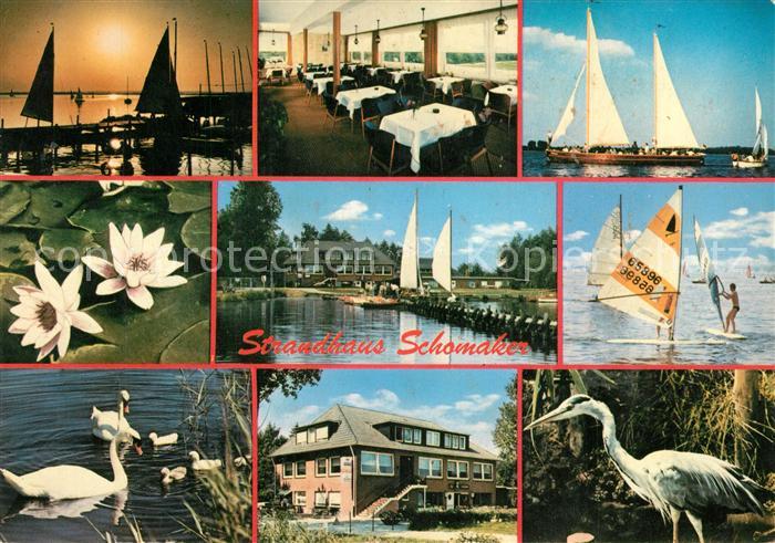 Duemmerlohausen Strandhotel Seerose Schwaene Reiher Windsurfen Segeln