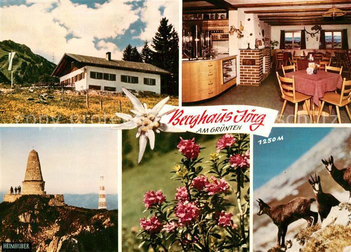 Kranzegg Berghaus Joerg am Gruenten Allgaeuer Alpen Heimhuber Alpenflora Edelwei