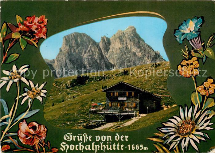 Pfronten Ostallgaeu Bayern Hochalphuette mit Aggenstein Allgaeuer Alpen Blumen