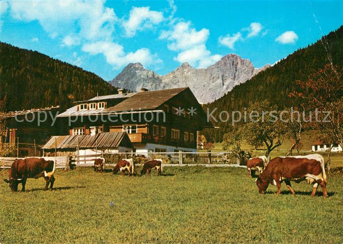 Ramsau Berchtesgaden Bauernhaus Viehweide Kuehe