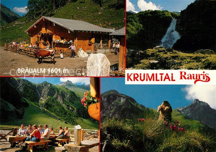 Rauris Krumltal Braeualm Murmeltier