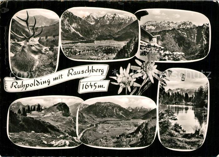 Ruhpolding Gesamtansicht mit Rauschberg Chiemgauer Alpen Hirsch Alpenflora Edelw