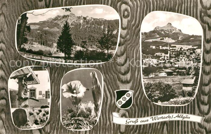 Wertach Landschaftspanorama Sorgschrofen Dorfbrunnen Blauer Enzian Hoehenluftkur