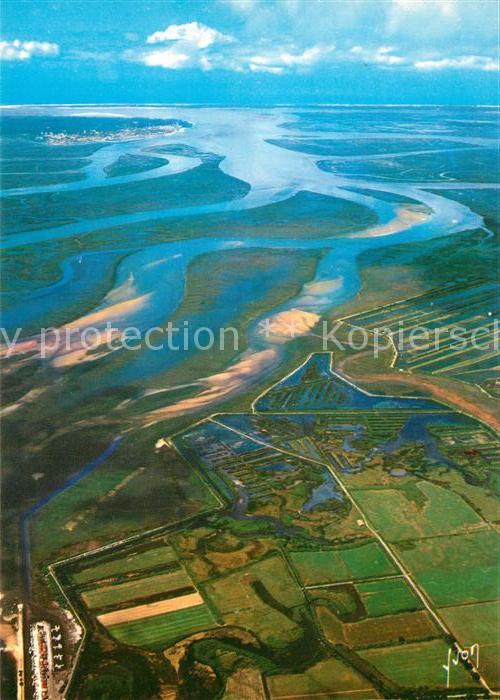 Bassin d Arcachon Bassin a marée basse au fond Arcachon et les Passes vue aérien