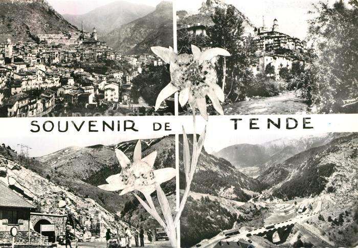 Tende Alpes Maritimes Teilansichten Panorama Mercantour Natio