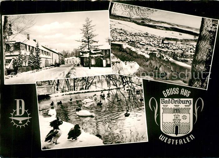 Bad Driburg Ortsmotiv Schwanensee Winterpanorama Wappen