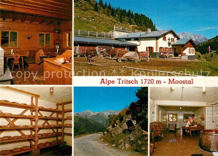 St Anton Arlberg Jausenstation Alpe Tritsch Almvieh Kuehe Alpen