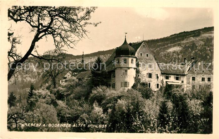 Bregenz Bodensee Altes Schloss