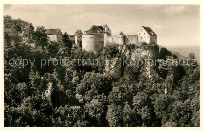 Burg Wildenstein Panorama