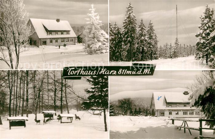 Torfhaus Harz Winterpanorama Hotel Torfhaus