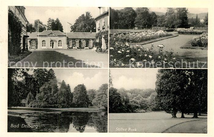 Driburg Bad Kurplatz Parkteich Rosengarten