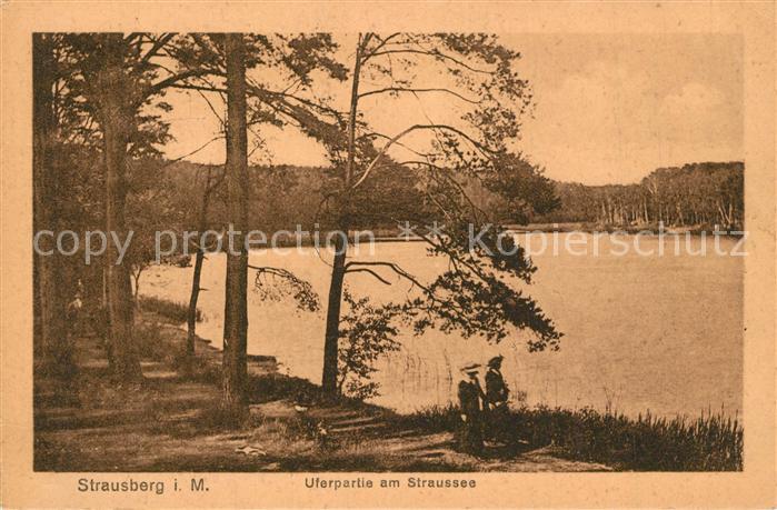 Strausberg Brandenburg Uferpartie Straussee