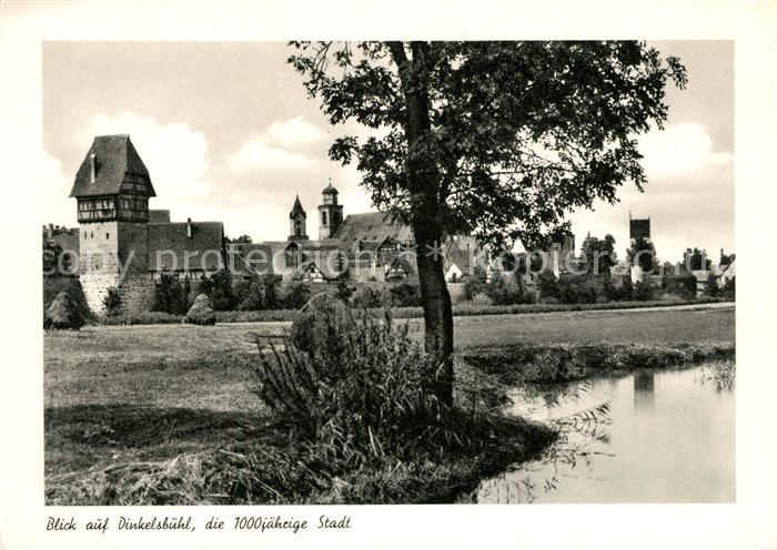 Dinkelsbuehl Panorama