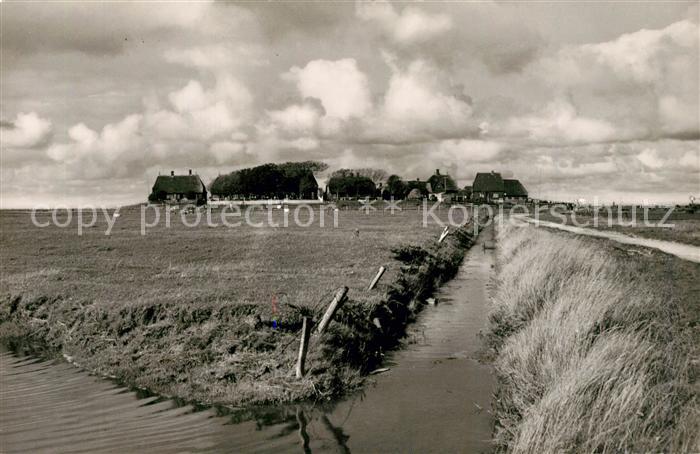 Hallig Hooge Panorama