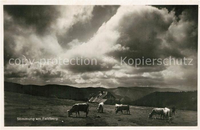 Feldberg Schwarzwald Gewitterstimmung