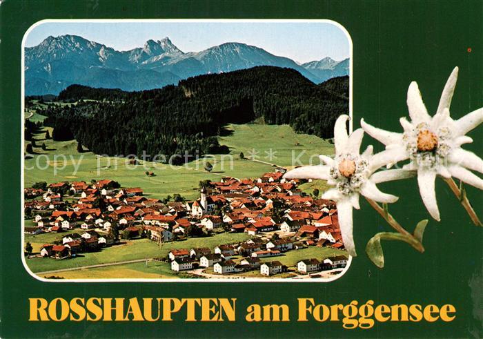 Rosshaupten Forggensee Fliegeraufnahme