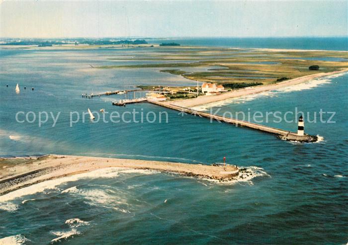 Schleimuende Fliegeraufnahme